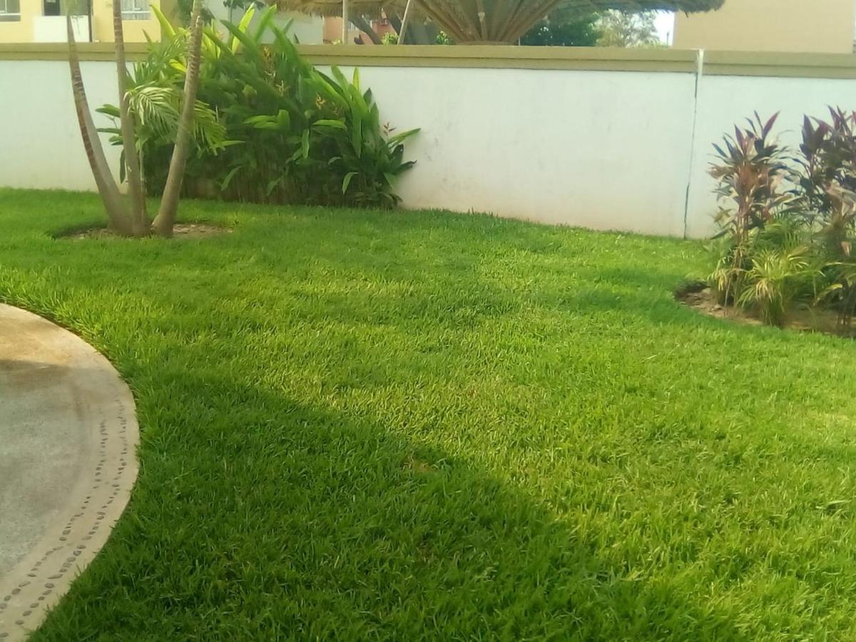 Victor House Apartment Acapulco Exterior photo